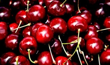 În susținerea producătorilor Ca urmare a difuzării în mijloacele de informare în masă a știrii despre proprietarii unei...