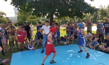 Turneul sectorului la box