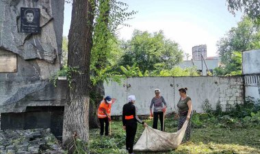 Salubrizarea teritoriului, str. Petru Rareș, 77