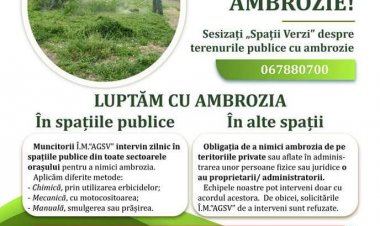 Combaterea ambroziei!