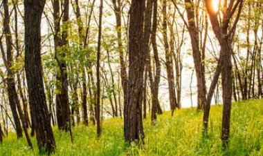 Campania de salubrizare de toamnă     Pretura sectorului Rîșcani invită cetățenii și reprezentanții sectorului, sâmbătă,...