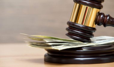 Licitație deschisă nr. 20 și nr. 21