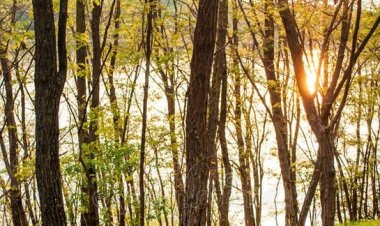 La inițiativa Primăriei Municipiului Chișinău, în perioada 6 martie – 14 aprilie 2023, în capitală se desfășoară Campani...