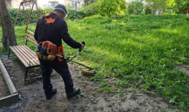 Lucrări de salubrizare mecanizată și manuală în sector