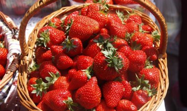 Târgul cu Tradiție”        Pretura sectorului Rîșcani informează că în weekend-ul: 20-21 mai 2023, în sector sa  desfășu...