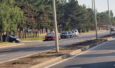 Arbuștii plantați pe aleea din strada Calea Orheiului, au fost furați în această noapte. Primăria Chișinău a depus plâng...