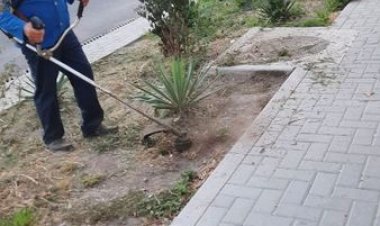 Salubrizarea sectorului        Pretura sectorului Rîșcani împreună cu ÎMPSL, ÎMGFL 17-23, Î. M. „Asociația de Gospo­dări...