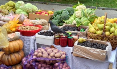 Pretura Sectorului Rîșcani: Târguri cu produse autohtone în sectoarele capitalei, în weekend-ul 23-24 septembrie 2023