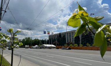 Pretura Sectorului Rîșcani: Circulaţia transportului public de Ziua Naţională a Vinului