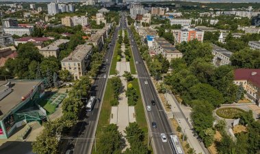 Institutii de sector