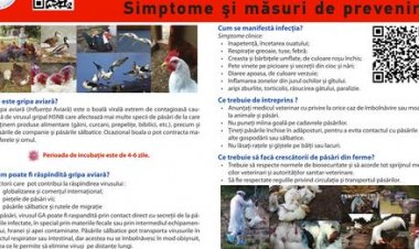 Pretura Sectorului Rîșcani: Situație excepțională de nivel aviar declarată în municipiul Chișinău, după depistarea unui...