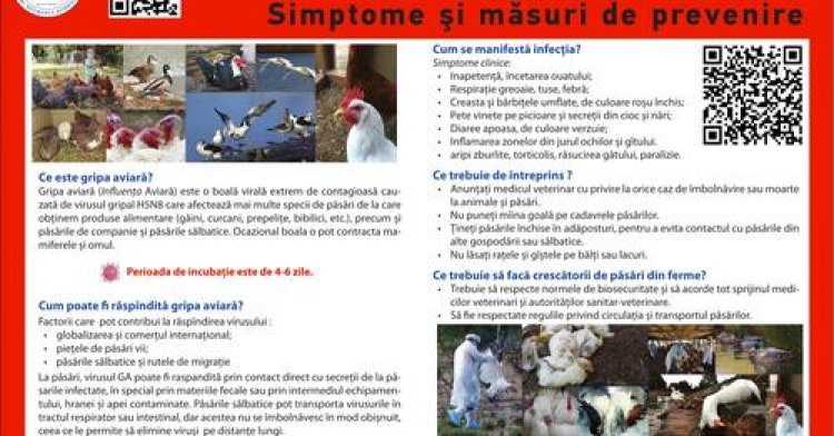 Pretura Sectorului Rîșcani: Situație excepțională de nivel aviar declarată în municipiul Chișinău, după depistarea unui...