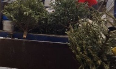 Depozitarea separată a brazilor     Pretura sectorului Rîșcani atenționează cetățenii referitor la necesitatea depozităr...