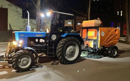 Lucrări de salubrizare