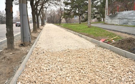 Continuă lucrările de reparaţie a trotuarului din bd. Renaşterii Naţionale.