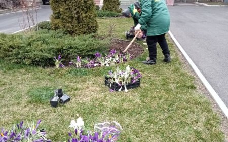 Campania de salubrizare de primăvară în Chișinău - este în toi!