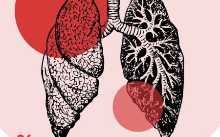 Primăria Municipiului Chișinău a aprobat un plan de acțiuni privind organizarea și desfășurarea Campaniei de sensibiliza...