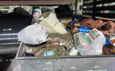 STOCAREA DEȘEURILOR VEGETALE – INTERZISĂ  ÎN CONTAINERE!