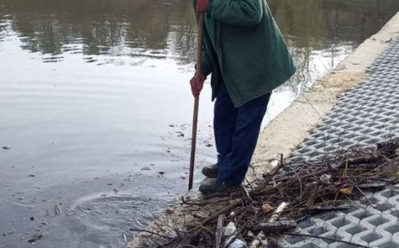 Întreprinderea Municipală „Asociația de gospodărire a spațiilor verzi”, continuă lucrările de salubrizare a orașului