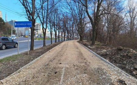 Lucrările de reabilitare a trotuarului de pe bulevardul Renașterii Naționale