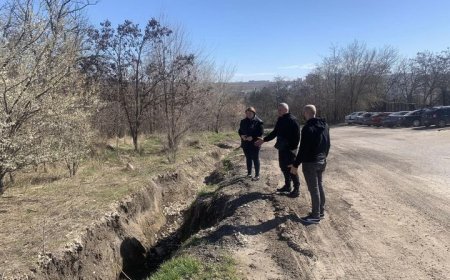 Vinerea sanitară în sector