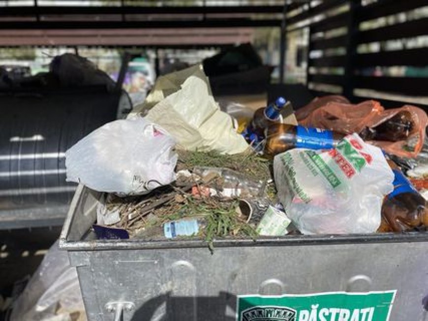 STOCAREA DEȘEURILOR VEGETALE – INTERZISĂ  ÎN CONTAINERE!