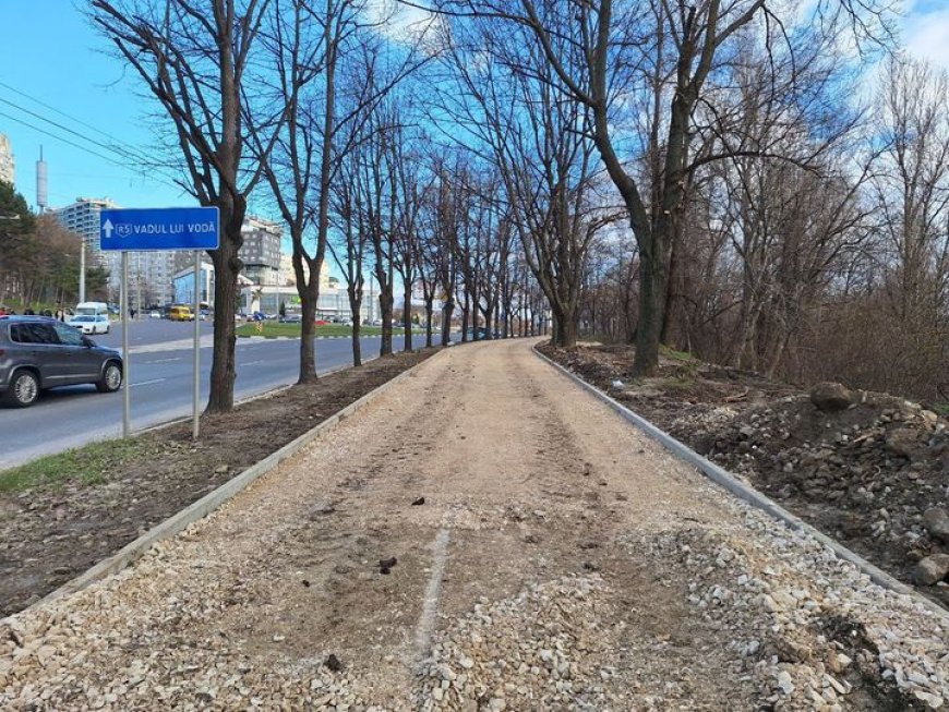 Lucrările de reabilitare a trotuarului de pe bulevardul Renașterii Naționale