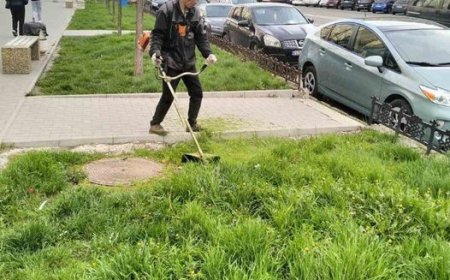 În spaţiile verzi din Chişinău, continuă procesul de cosire a ierbii.