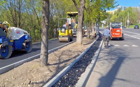 Lucrările de reparaţie a trotuarului din bd. Renaşterii Naţionale, în perimetrul str. Calea Orheiului - podul de la Circ...