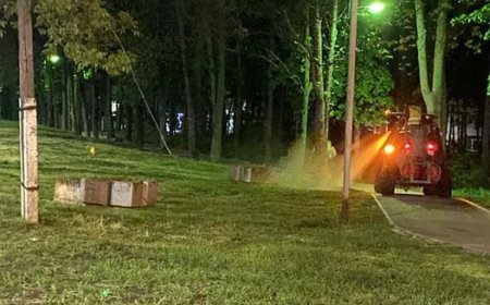 ✅ Î.M. „Asociația de gospodărire a spațiilor verzi” desfășoară activități de combatere a dăunătorilor în spațiile verzi.