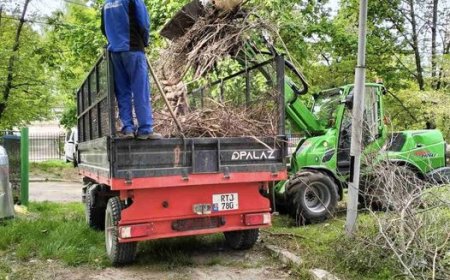 Lucrările de salubrizare continuă!