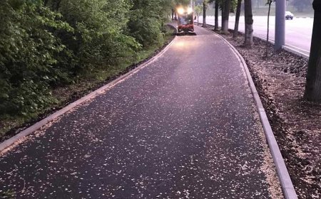 Lucrări de salubrizare