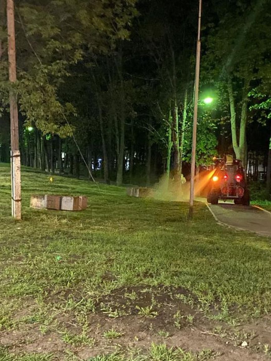 ✅ Î.M. „Asociația de gospodărire a spațiilor verzi” desfășoară activități de combatere a dăunătorilor în spațiile verzi.