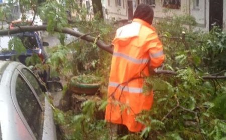 Toate serviciile municipale au intervenit prompt la înlăturarea consecințelor ploii abundente și vântului din seara de 7 mai.