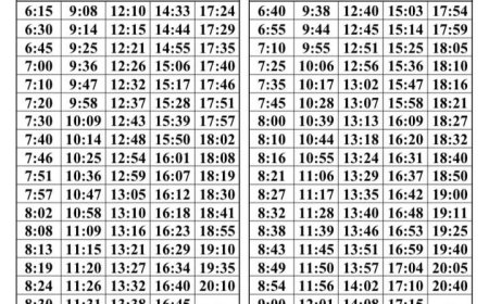 În atenția călătorilor!