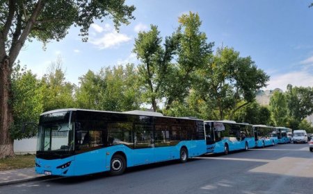 Circulația transportului în zilele de 11, 12 și 13 mai