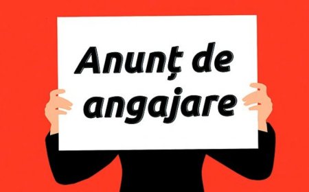 Anunț de angajare în funcția publică vacantă de specialist principal în Secția administrație publică locală