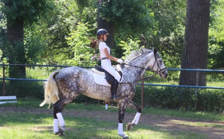 Competiții sportive la hipism au avut loc pe 2 iunie, pe arena Clubului sportiv de hipism „Avangard”