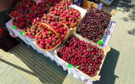 ✅Târguri cu produse autohtone în sectoarele capitalei, în weekendul: 08- 09 iunie 2024   ????Primăria Municipiului Chișină...