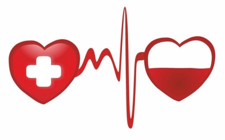 „Numai împreună putem salva vieți! Arată că îți pasă ! Donează Sânge!”.