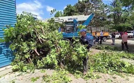 Primăria Chișinău informează că, până la această oră, serviciile municipale au reușit să înlăture în Capitală circa 60%din totalul daunelor cauzate de intemperiile care au lovit noaptea trecută orașul.