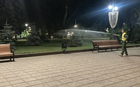 Continuă procesul de combatere a ambroziei !