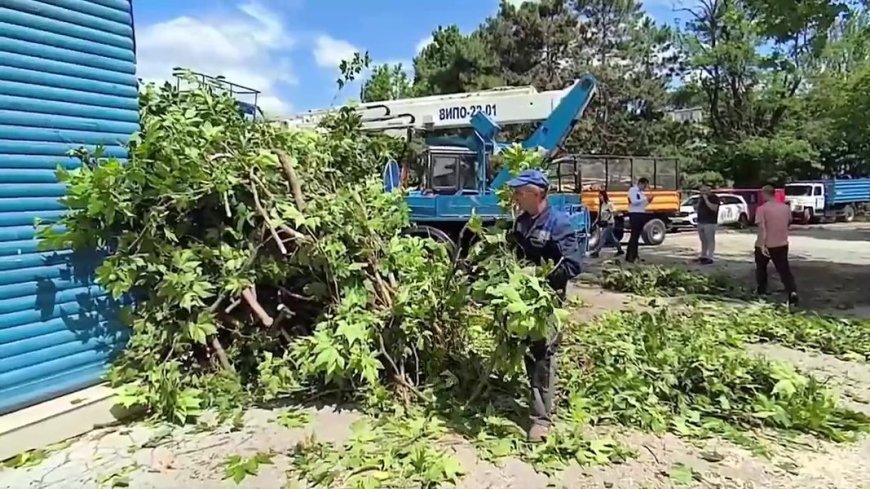 Primăria Chișinău informează că, până la această oră, serviciile municipale au reușit să înlăture în Capitală circa 60%din totalul daunelor cauzate de intemperiile care au lovit noaptea trecută orașul.