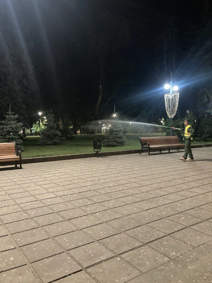 Continuă procesul de combatere a ambroziei !