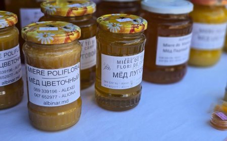 Primăria Chișinău informează că, în weekendul: 13 - 14 iulie 2024,în sectoarele Capitalei vor fi desfășurate iarmaroace și târguri cu produse și mărfuri autohtone.