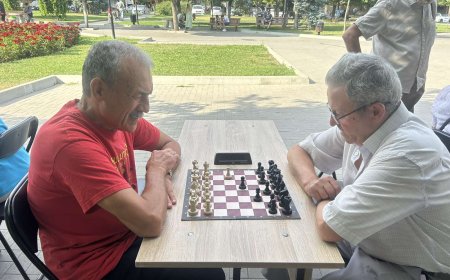 Etapa finală de sector a Turneului municipal de șah și joc de dame, ediția a doua.