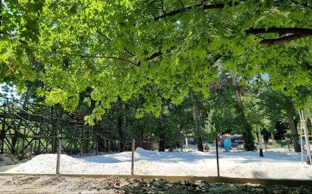 În Parcul ,,Dumitru Rîșcanu" din str. Braniştii, continuă lucrările de amenajare a unei zone de sport.