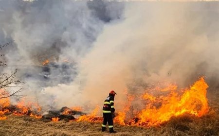 Din cauza temperaturilor ridicate , a lipsei precipitațiilor și a indiferenței locuitorilor, Pretura sectorului Rîșcani ATENȚIONEAZĂ !