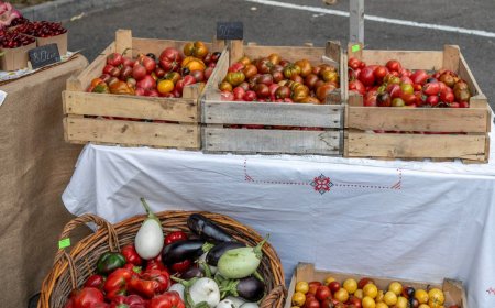 Târguri cu produse autohtone în sectoarele capitalei, în weekendul: 24-25 august 2024