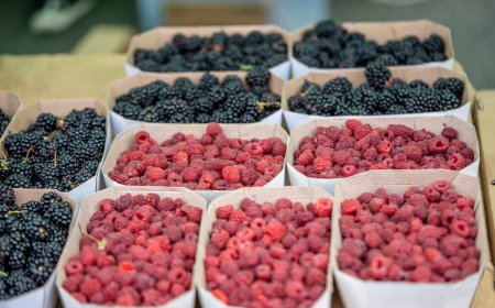 Târguri cu produse autohtone în sectoarele capitalei, în weekendul: 31 august – 1 septembrie 2024 ✅Primăria Municipi...